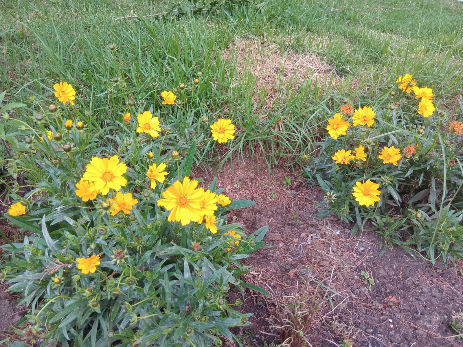 Vintage Valley 8 BHK Luxury Villa