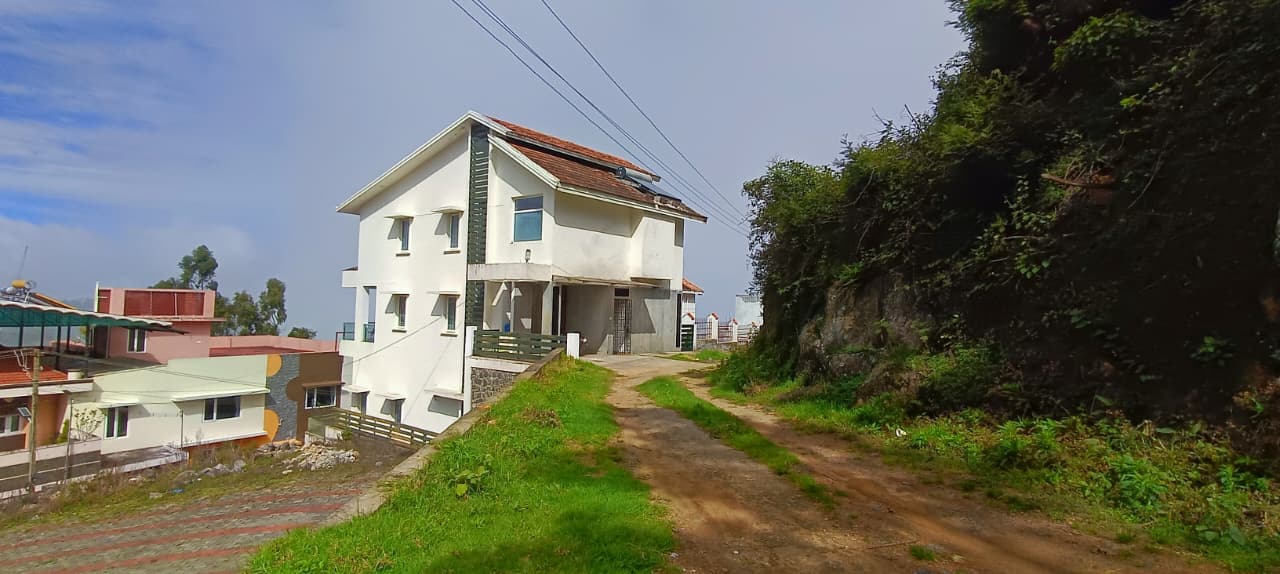 Main Image